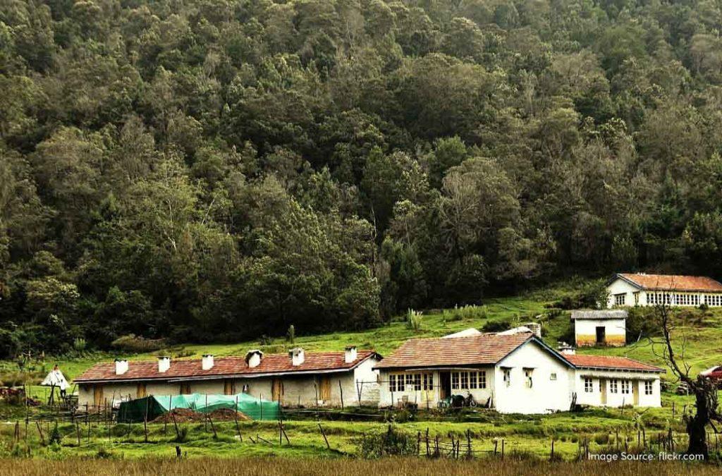 Berijam Lake is one of the most beautiful fresh water lakes in Kodaikanal