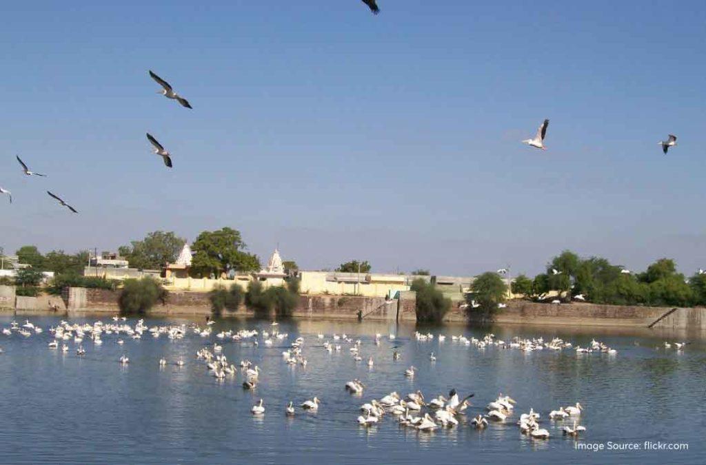 Birds flying over Bhuj, one of the historical places to visit in Gujarat.