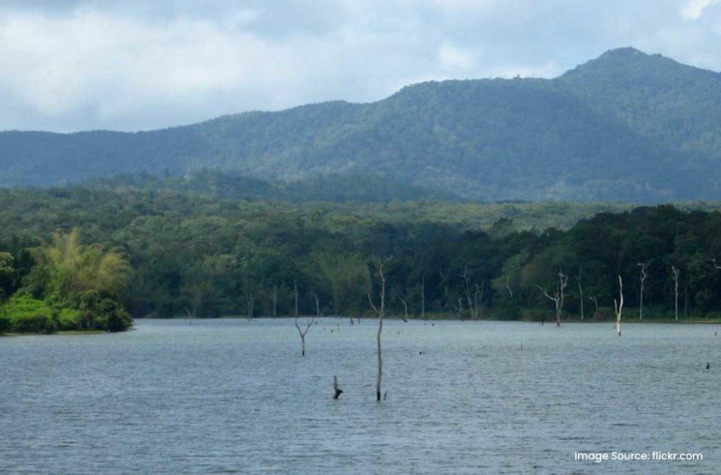 Check out the best places to visit in Coorg in winters