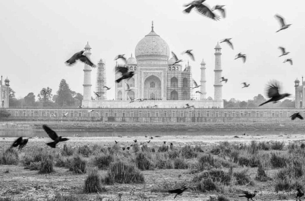 Check out the best places to visit in Agra