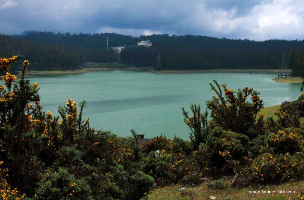 Check out the best lakes in Ooty for a great time