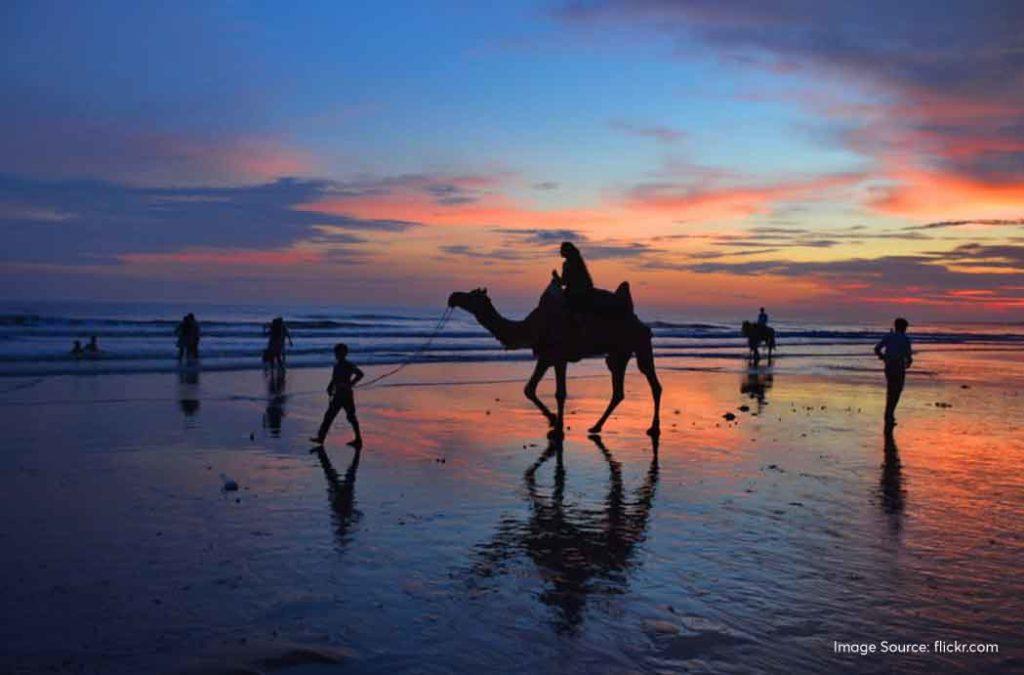 Enjoy the vibrant sunsets at Mandvi Beach, one of the popular tourist places to visit in Gujarat