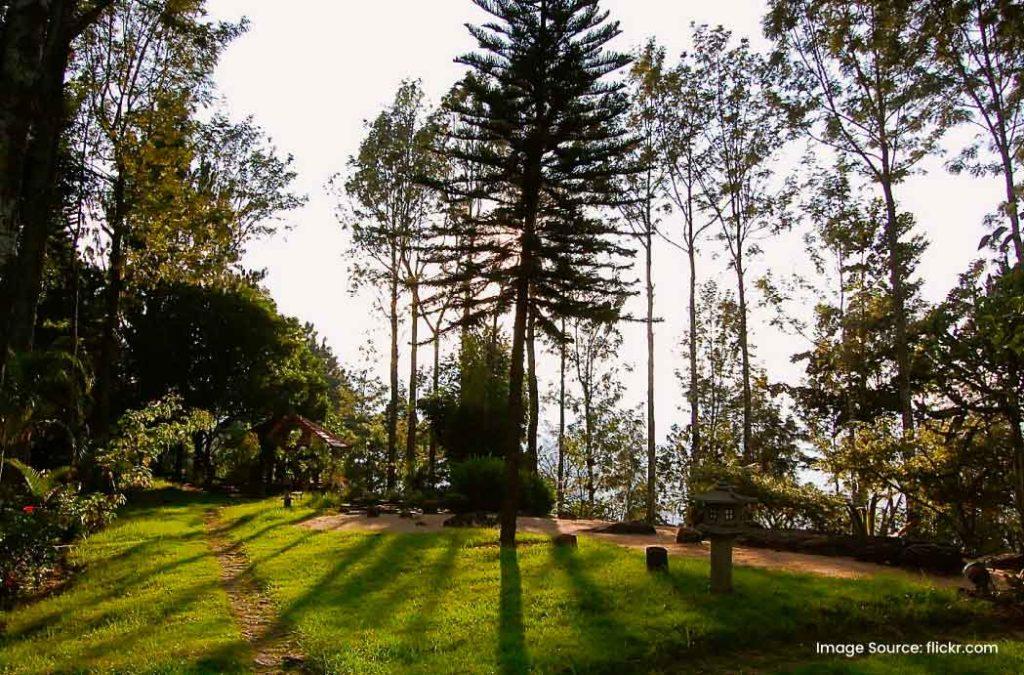 Check out the best places to visit in Kodaikanal