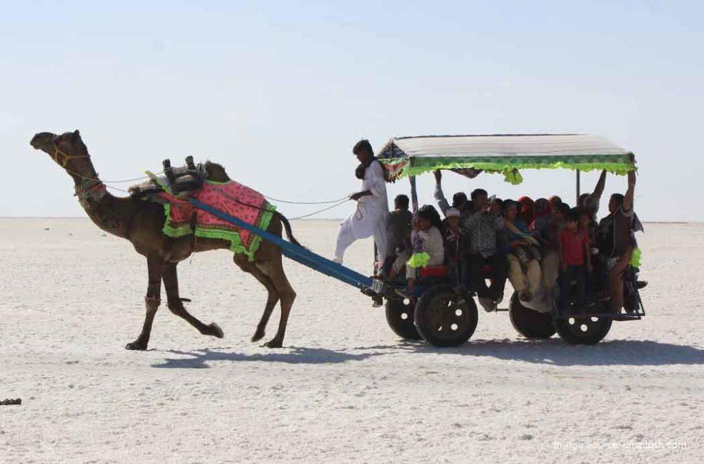 A camel cart ride in the Rann of Kutch, one of the places to visit in Gujarat