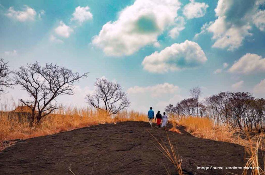 Aiyyanpara Hills is one of the places to visit in Kottayam for trekking.