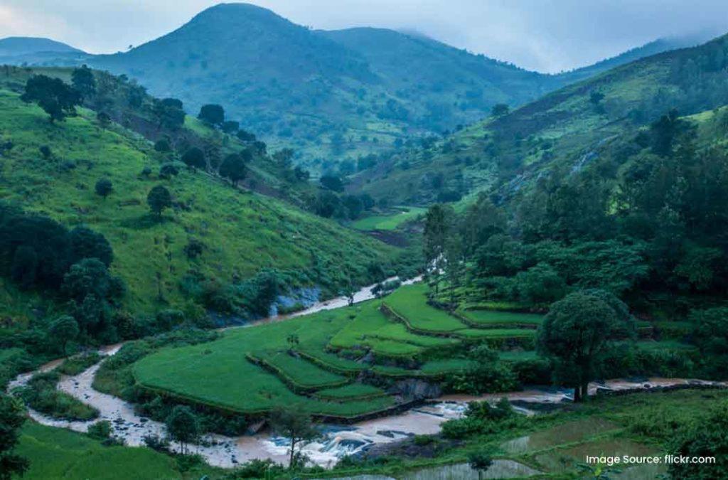 Explore enchanting Araku Valley, one of the popular places to visit in Andhra Pradesh for nature lovers.