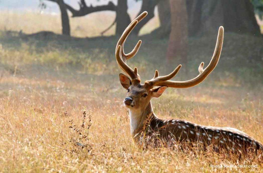 Check out the best places to visit in Jharkhand