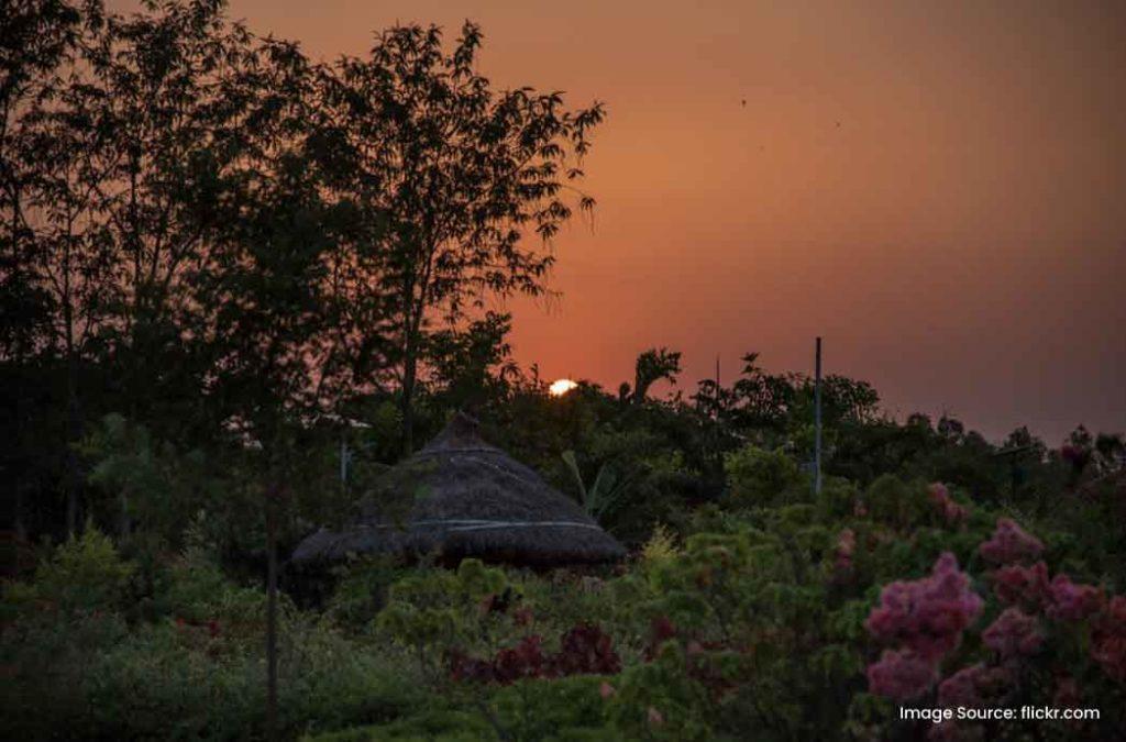  Butterfly Park is one of the famous places to visit in Trichy.