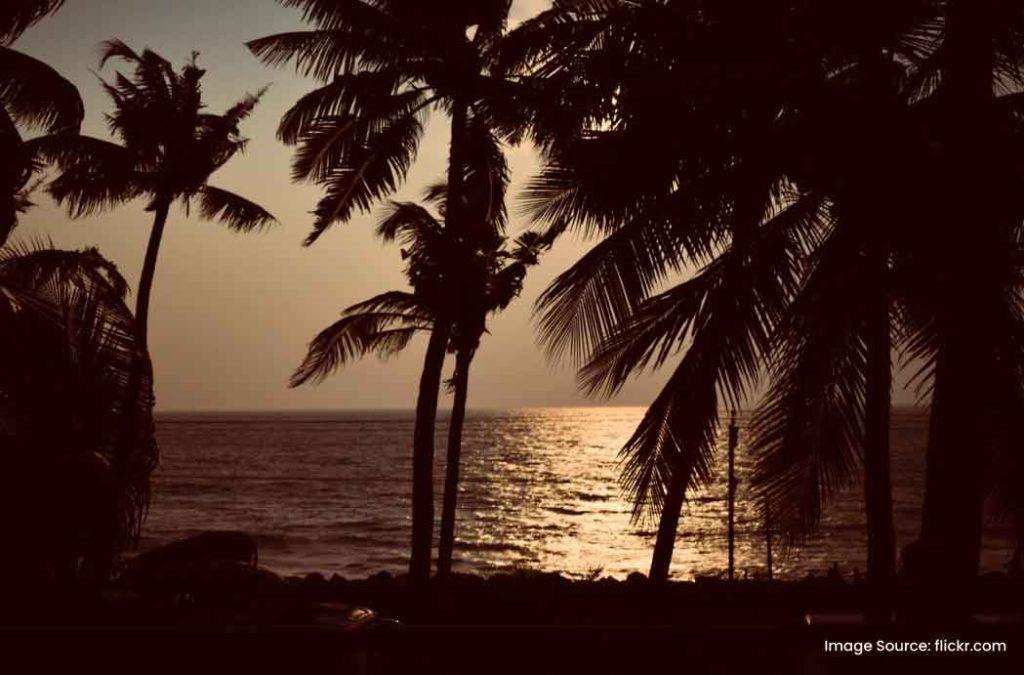 Enjoy a relaxing time at Cherai Beach, one of the famous places to visit in Ernakulam.