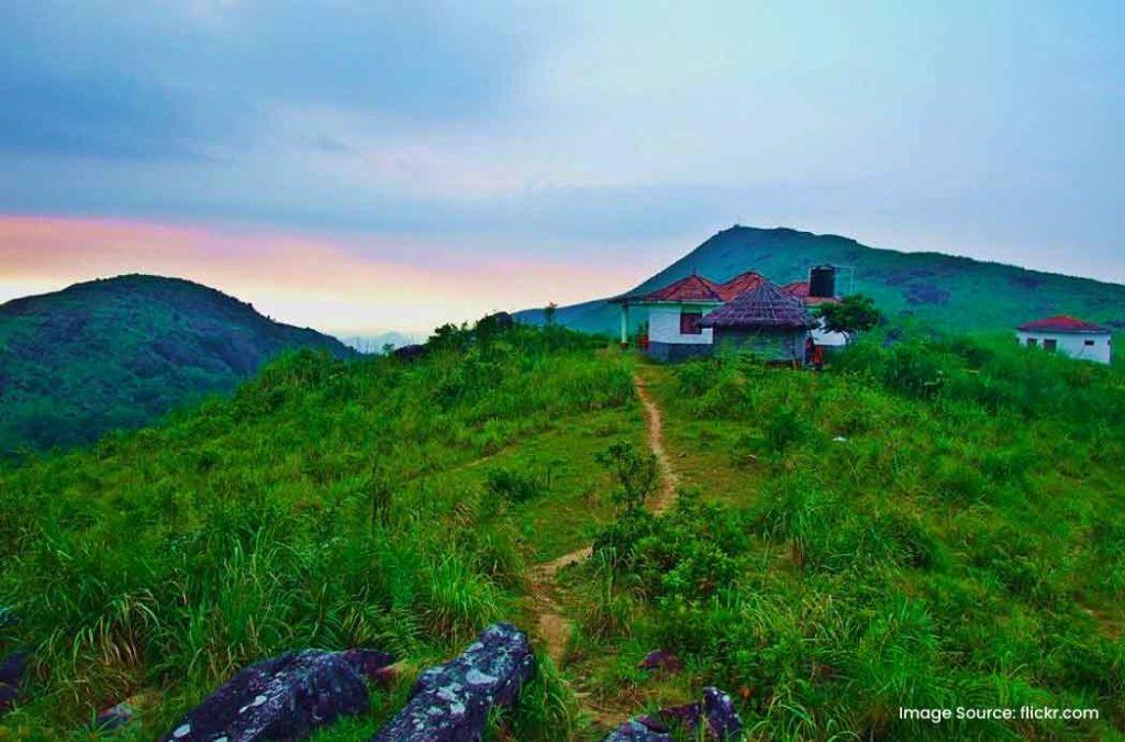 Elaveezhapoonchira is one of the places to visit in Kottayam, filled with a bounty of wildflowers