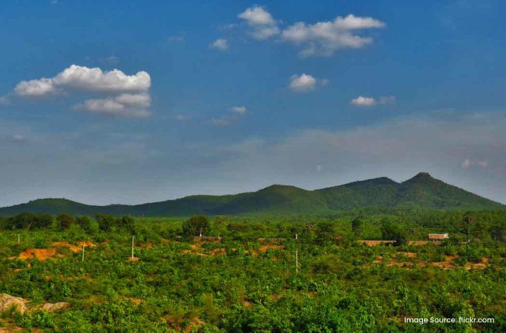 Check out the best places to visit in Jharkhand