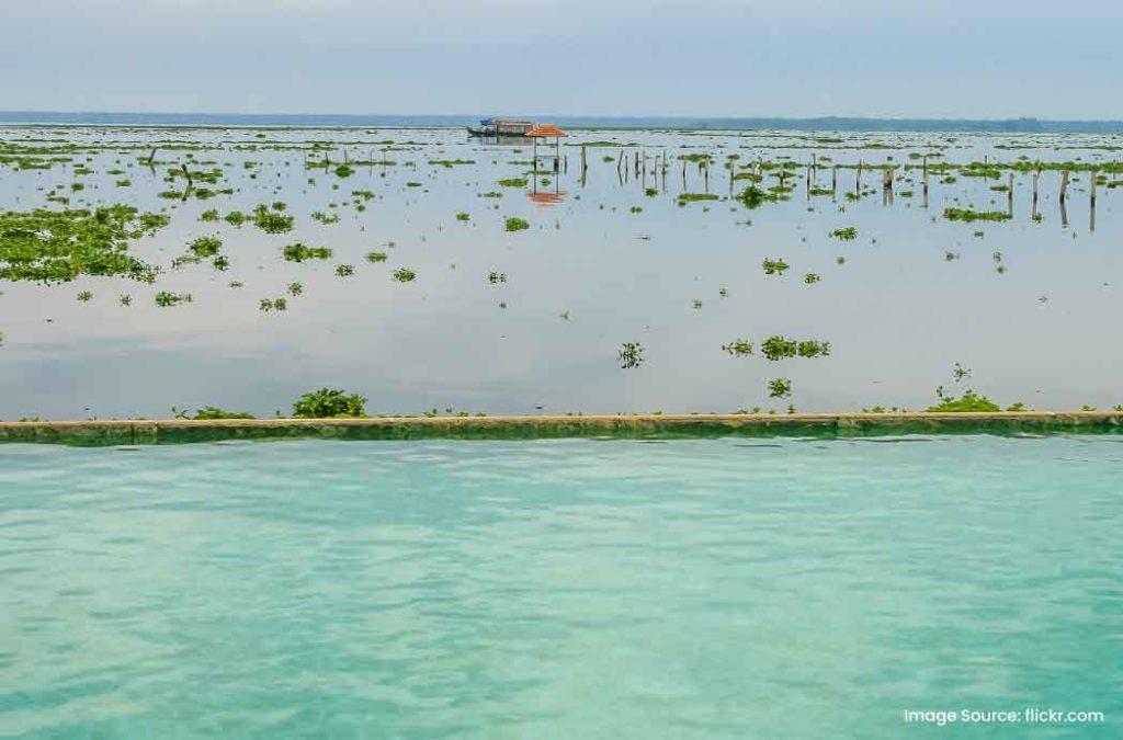 Explore the backwaters in summers, the best time to visit Kerala.