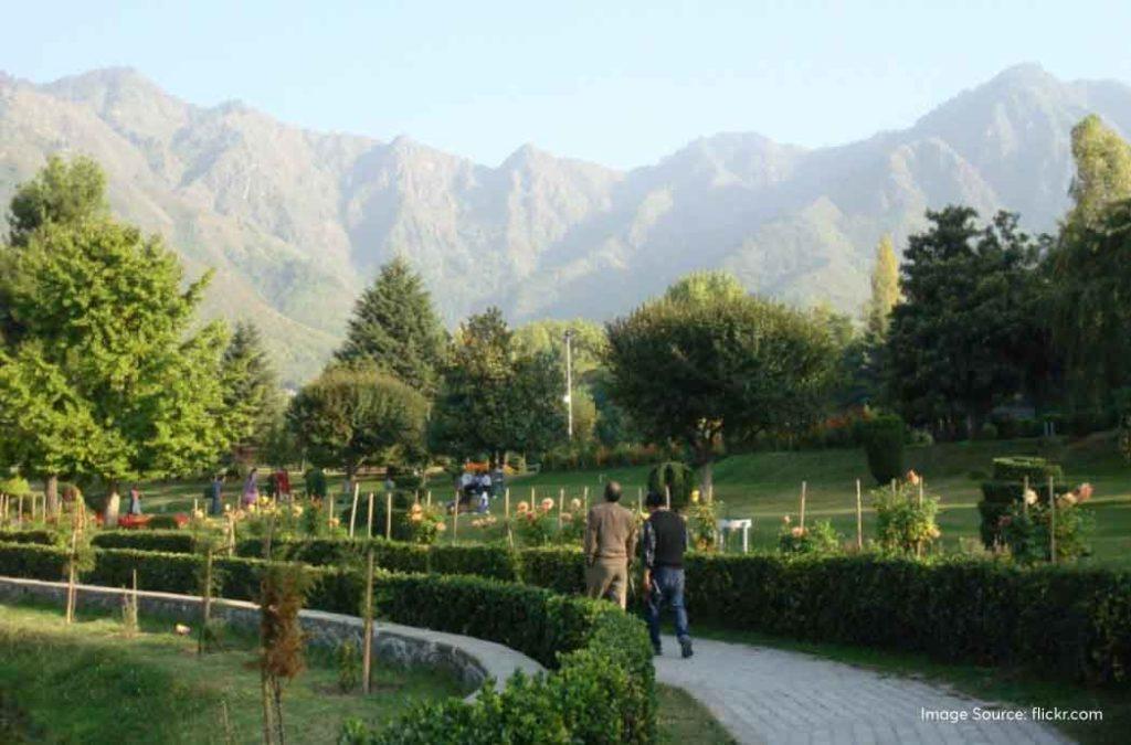 Check out the best places to visit in Srinagar