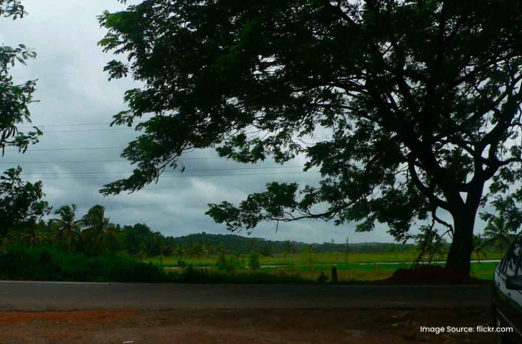 For boating lovers, Kadambrayar is one of the best places to visit in Ernakulam.