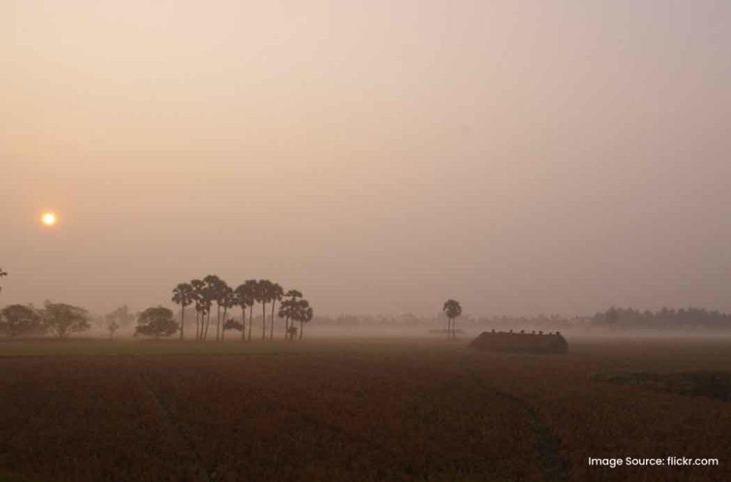 Explore one the perfect places to visit in Andhra Pradesh for a relaxing getaway, Konaseema.