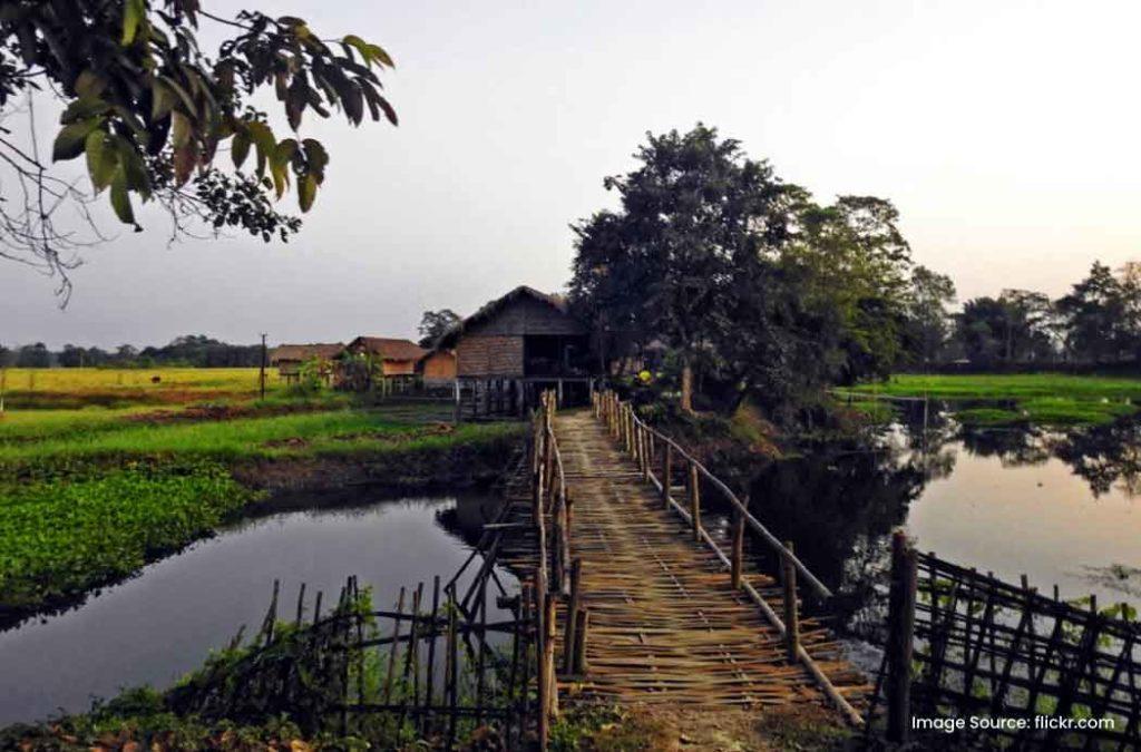 Check out the top-rated places to visit in Assam