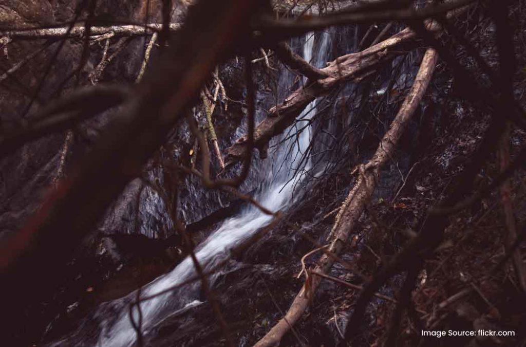 Marmala Waterfall is one of the secluded waterfall places to visit in Kottayam.