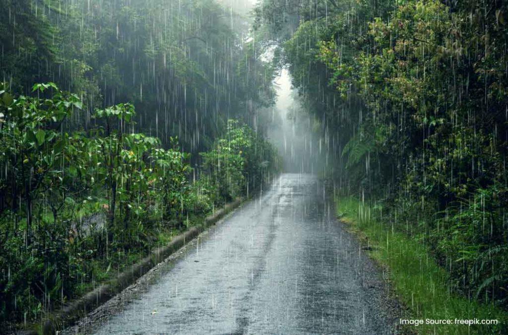 Enjoy a relaxing getaway in monsoon, the best time to visit Kerala.