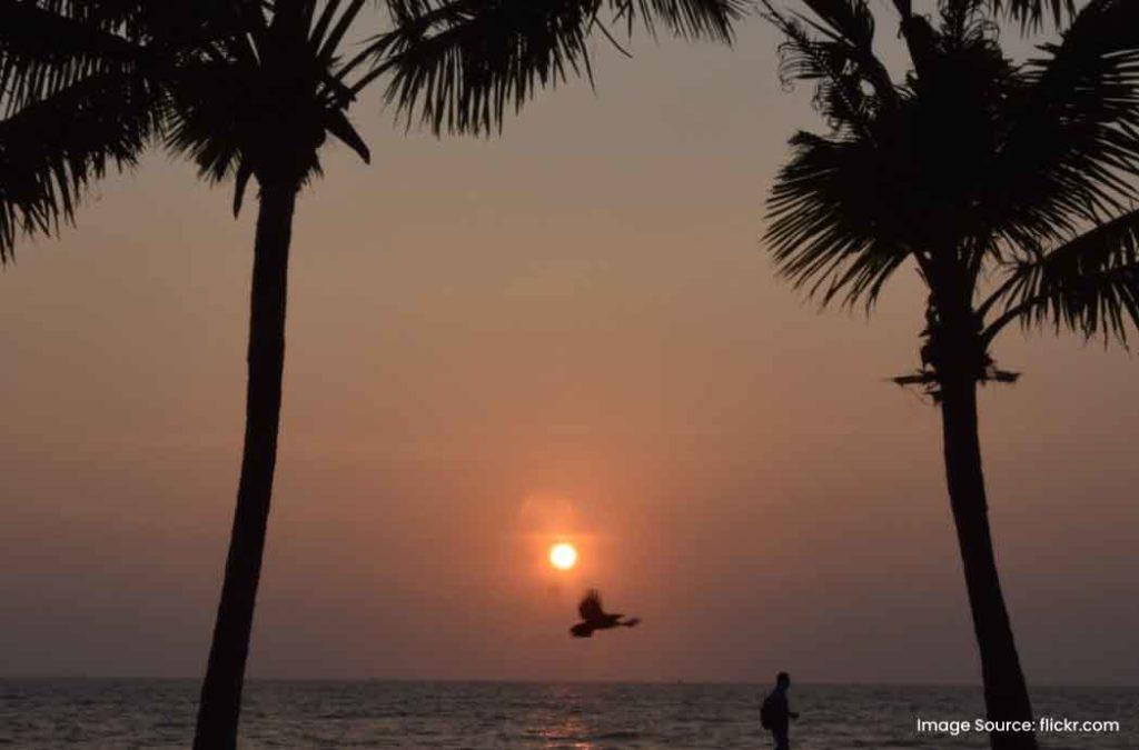 Enjoy sunsets during summer, the best time to visit Kerala for beach activities.