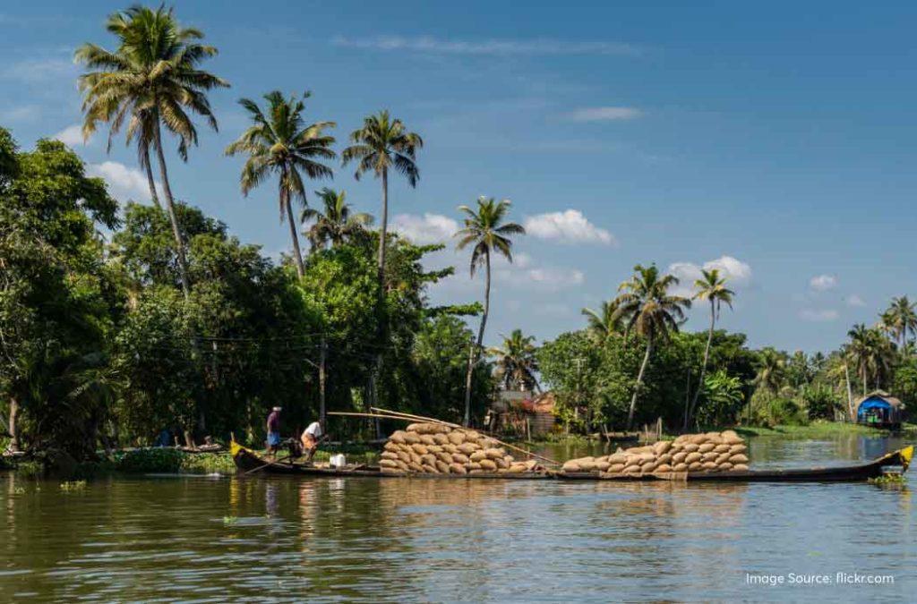 Explore backwaters in Alleppey on a long weekend in March 2025.