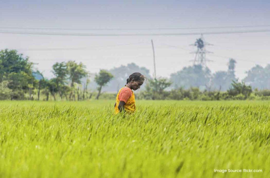 Learn the significance and history of Baisakhi