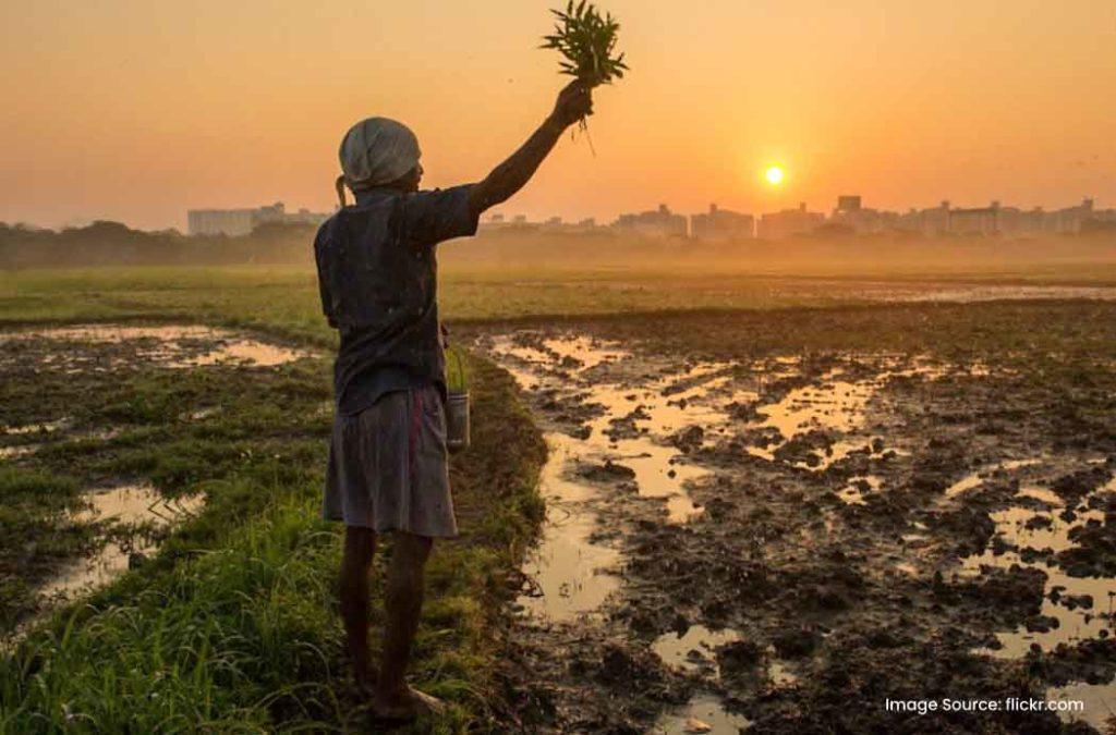 Learn the significance and history of Baisakhi