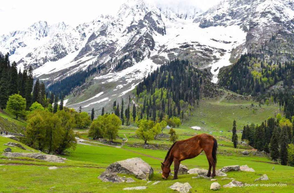 Visit Kashmir, the heaven on Earth on a long weekend in May 2025.